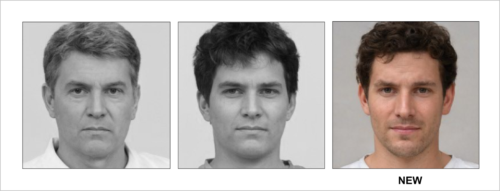 20251225162419951-图片